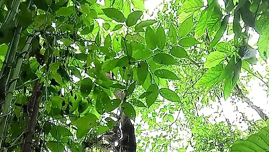 Jungle masturbate I need to go out for Horny
