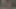 tio maduro folla me muy duro 2