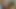 Dizlerimin üzerinde buzdolabının yanında oral seks yaptım