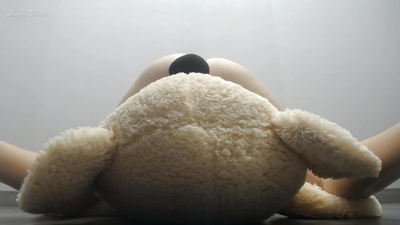 她喜欢操她的熊。屈辱熊