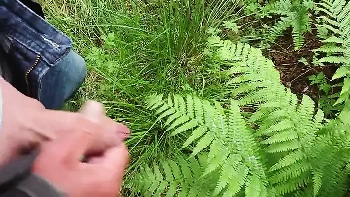 Little cum on a big fern.