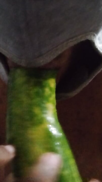 Busty bitch playing with herself and fucking herself with a cucumber