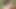 005.mp4