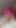 Glamour Girl in Pink Satin Top and Pantyhose Riding Cowgirl and Standing Doggystyle Sex - Projectfundiary