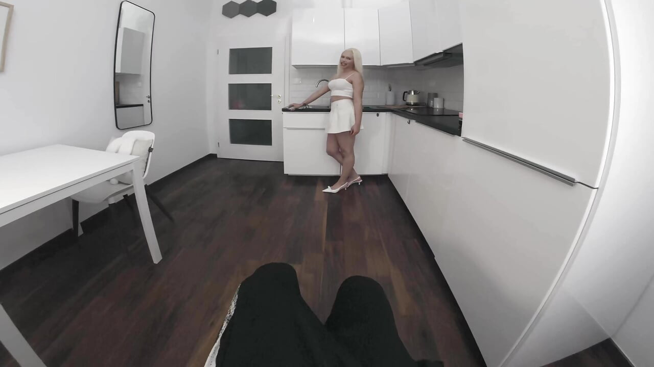 sex in the kitchen
