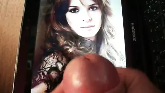 danielle panabaker'a saygı duruşu