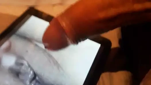 campkenny için cumtribute