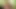 Megan Jones wants me to cum for her!