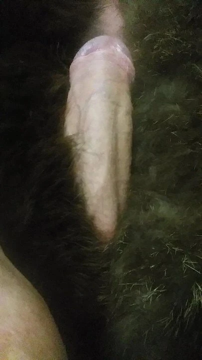 Blana reală de vulpe îl face pe Clitty să fie dur