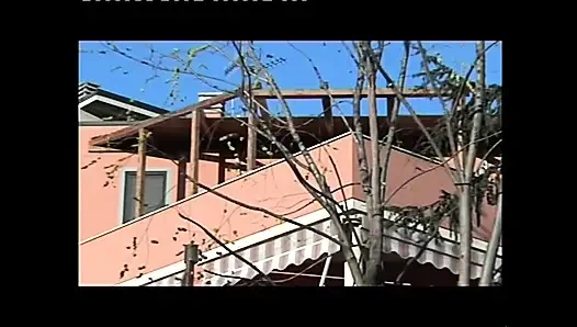 The Illegitimate StepDaughter