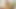 Candice Dare в сфинктажном видео от первого лица