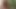 Alexhesssen1 : Public Whore Swallowing in the Park
