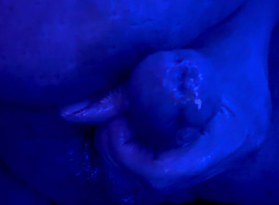 Stroking my cock
