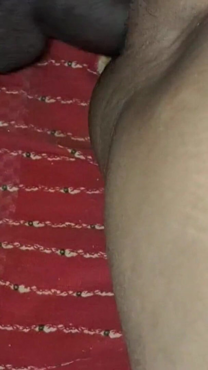 Desi hauswaif Rani bhabhi ki chudayi devar ne bhabhi ko ghodi bana ke choda Padhos ki bhabhi ki jabarjast chudayi | Clip 1