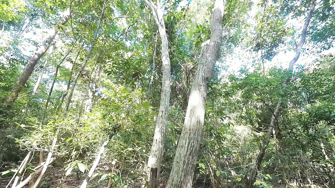 Thai girl walks and brags about peeing pain in the forest, but pushes to masturbate Thai Voice