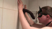 Pregled videozapisa