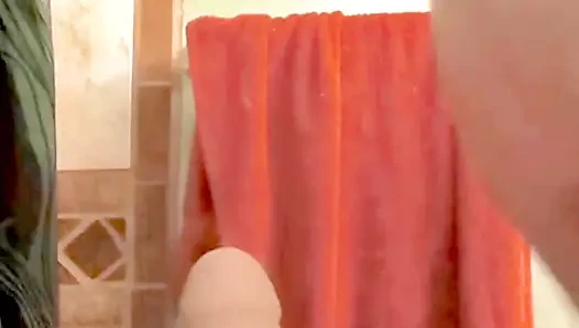 Dildo on the Toilet