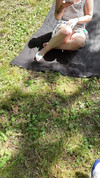 Pregled videozapisa
