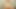 Firstclasspov - sarah vandella emmek ve bir canavar horoz lanet