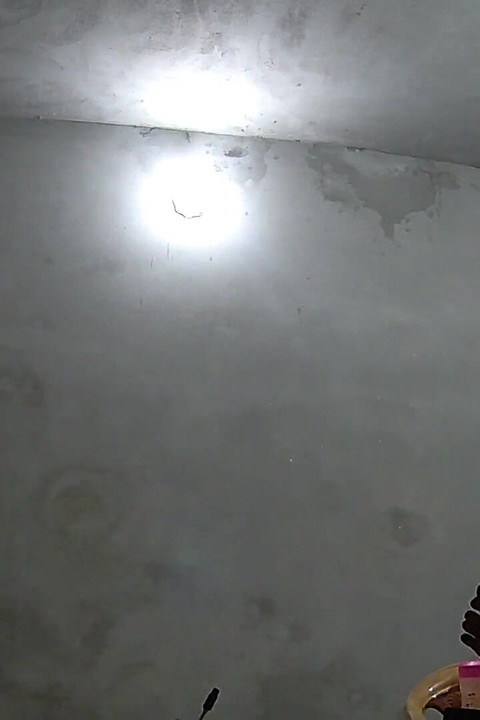 Video rekaman seks tante seksi india