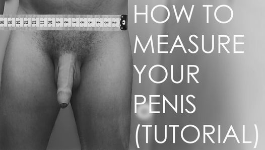 HOW TO MEASURE YOUR PENIS