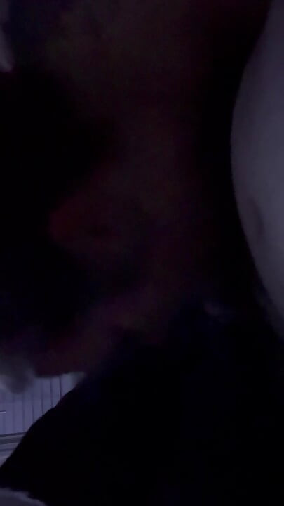 Kitten sucking cock