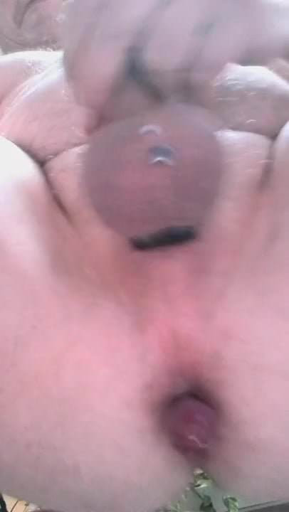 Analspass