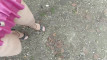 Pregled videozapisa