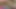 Hot Girl Want Threesome Sex