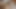 Casting-Girls müssen lutschen und ficken, um zu sehen, ob sie geeignet sind. Dein erstes sexvideo