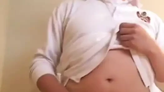 Döl aygırı