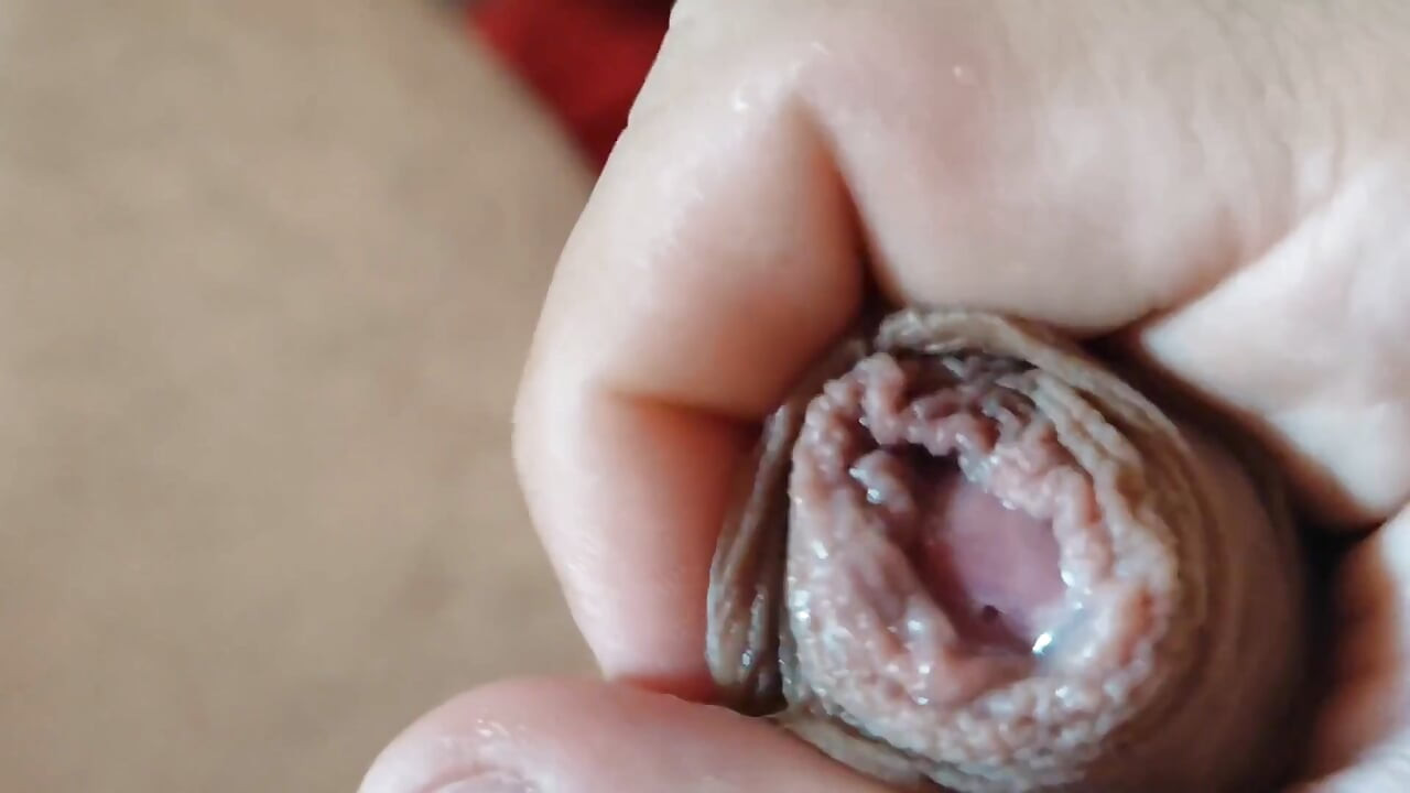 Pukulan air mani terbesar dan paling tahan lama di planet ini.