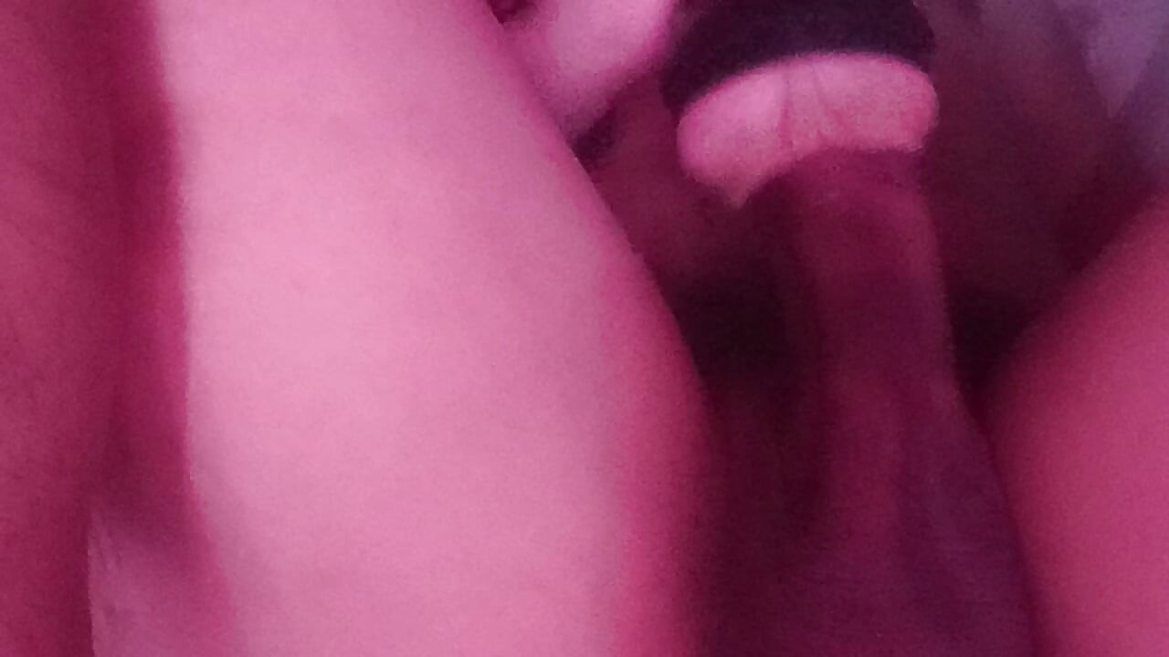 내 우유 데우기 1648일차