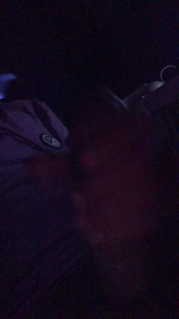 Big juicy cock getting stroked until I cum.