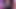 毎晩配信