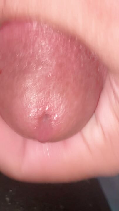 I've got a big cock, I'm horny, I'm looking for someone to suck it, or maybe I'm going to put it in someone's mouth