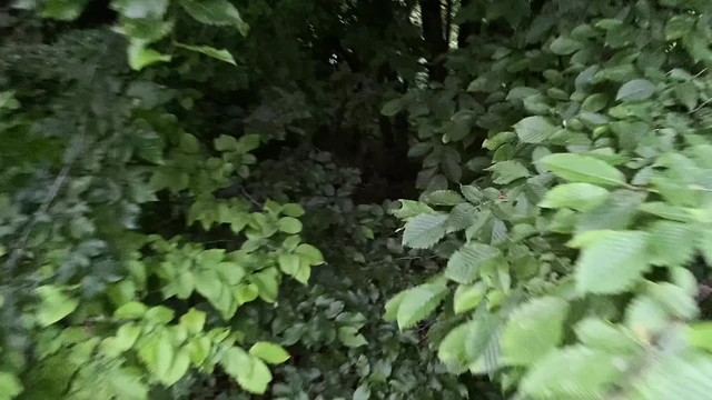 Hand's friend help me wood handjob