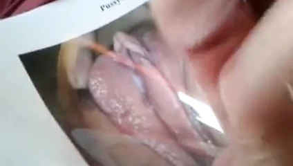 pussy4cyber için bir haraç