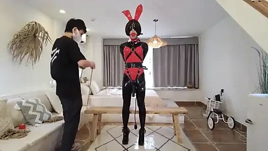 Mz13 - Bunny Girl with Pouting Lips