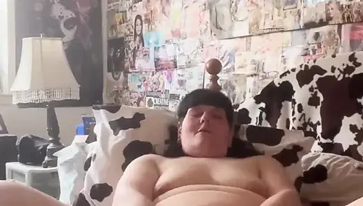Муха - фестинг