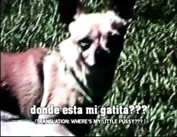 Outdoor,blowjob,orgasm,big tits