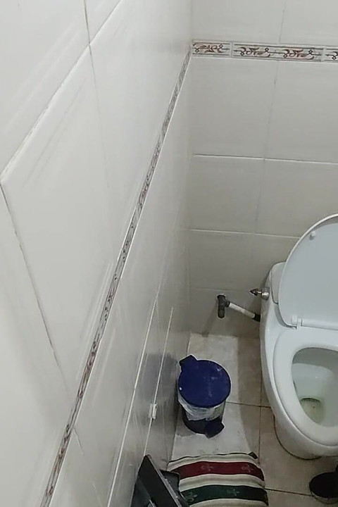 Futai, cur, atât de bogat mănânc, eu nu pot să cred în urinal baie ori de câte ori mănânc