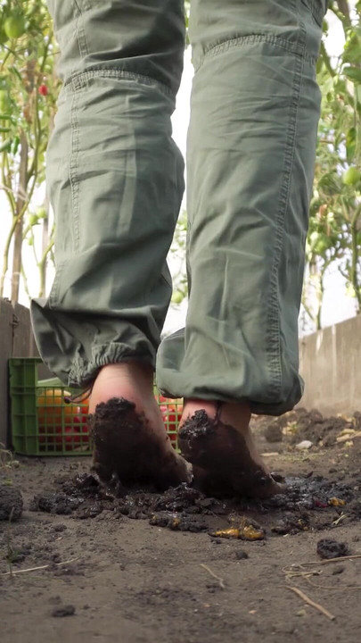 Squashing Tomatoes Barefoot In The Dirt ASMR | Clip 1