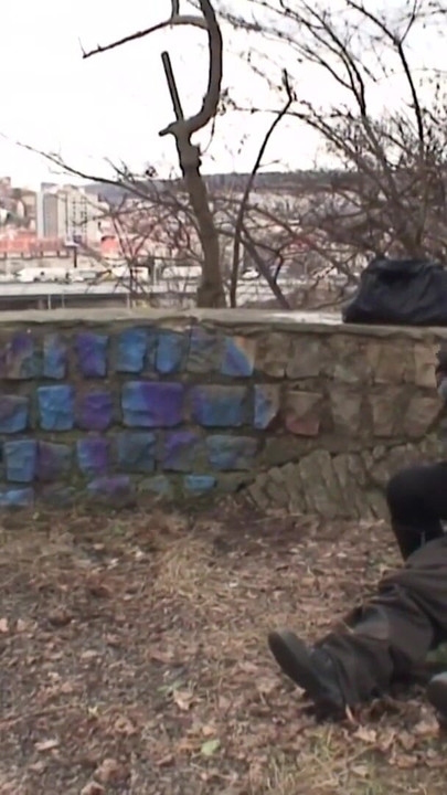 Key moment from "Die Sau hat sich extra ein Rock angezogen geiler Fick Public"