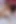 Daisy Ducati ve Kyra Rose kadın güreşi