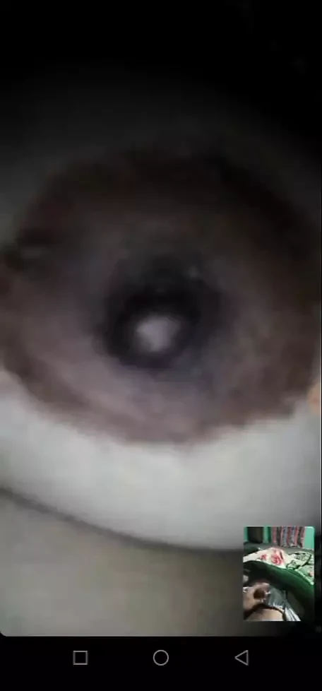 Pákistánská hvězda Tiktoku Aliza Sehar v živém videohovoru na Whatsapp