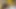 Sexy MILF Trans Woman Sucking Cock