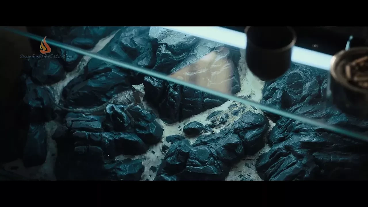 Claire Foy - 蜘蛛网中的女孩 2018