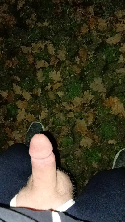 Slina tijekom krstarenja