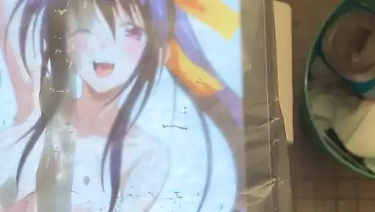 Akeno himejima haraç, animeaddiction tarafından talep edildi